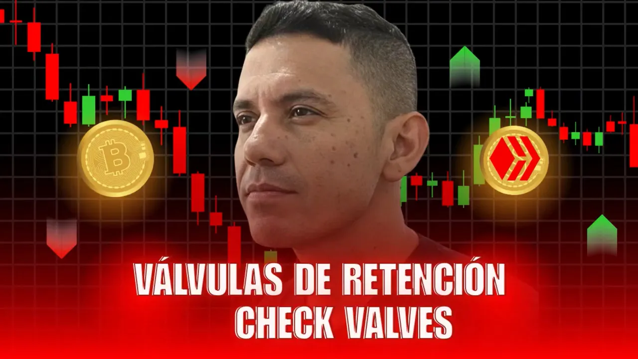 Válvulas de retenciones en Hive ¿Es posible? | Check valves in a Hive: Is it possible?