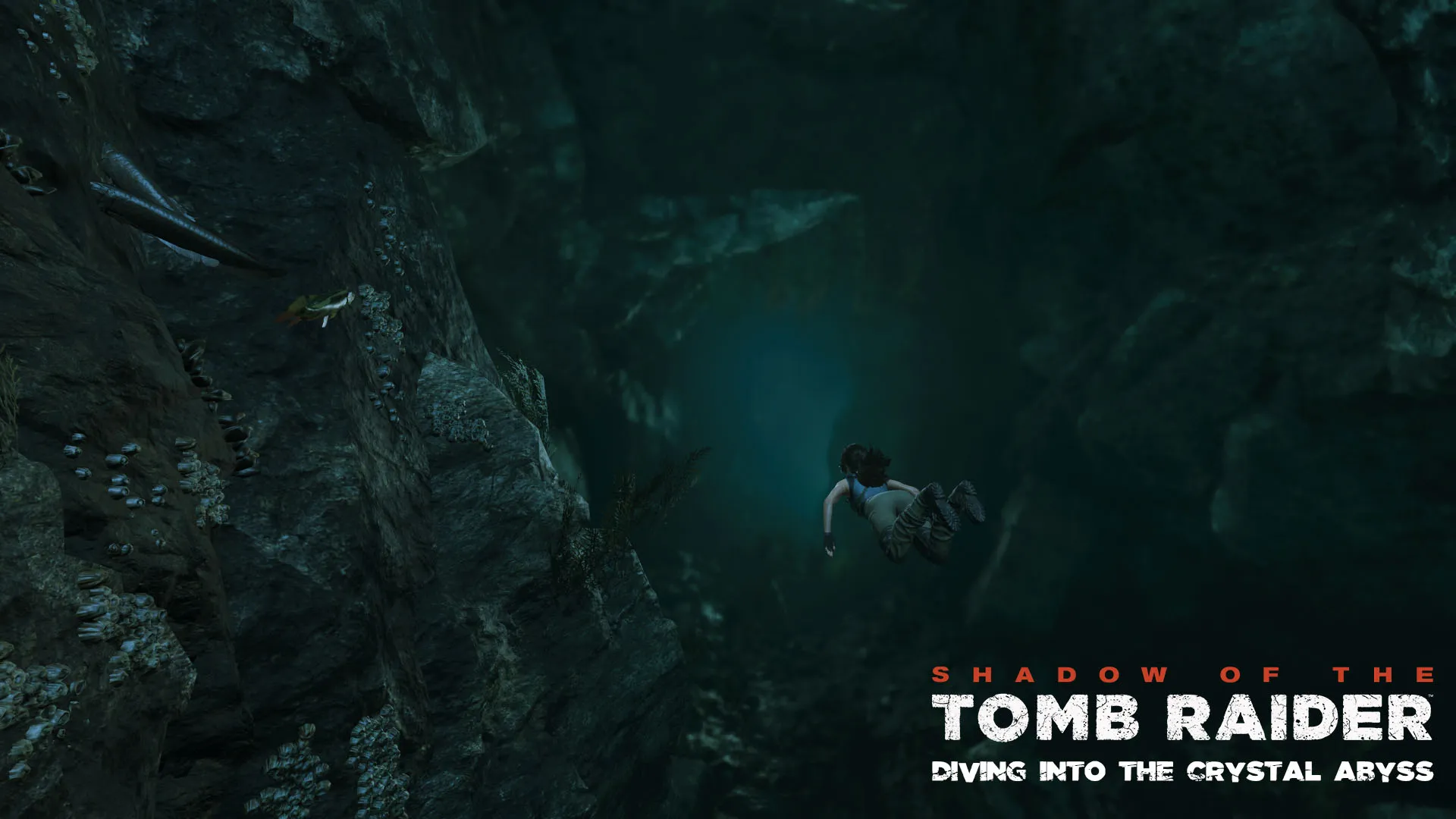 Diving into the Crystal Abyss.